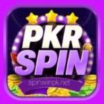 PKRSpin Game
